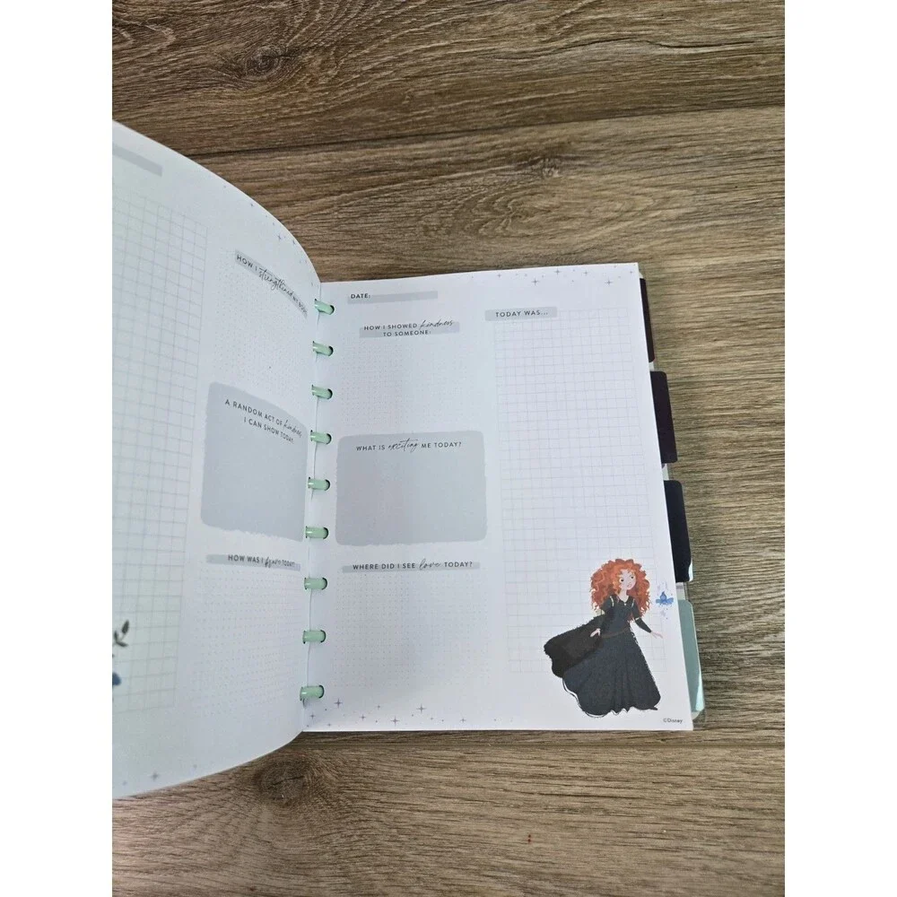 Happy Planner unused disney